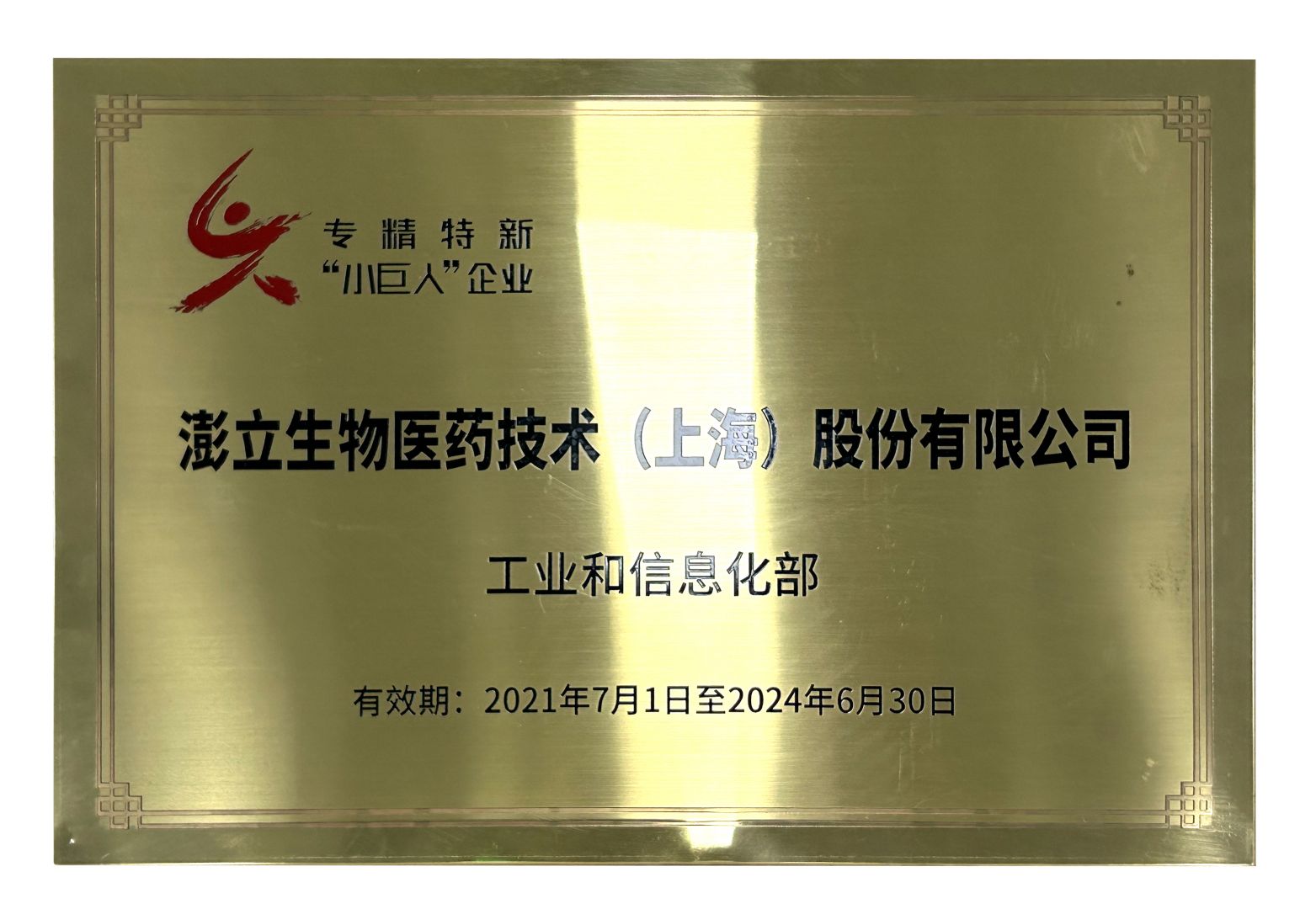 国家级专精 特 新“小巨人”企业