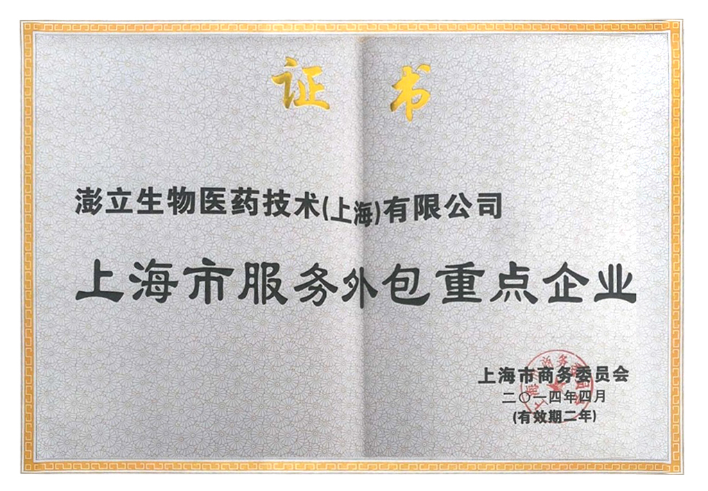 上海市服务外包重点企业