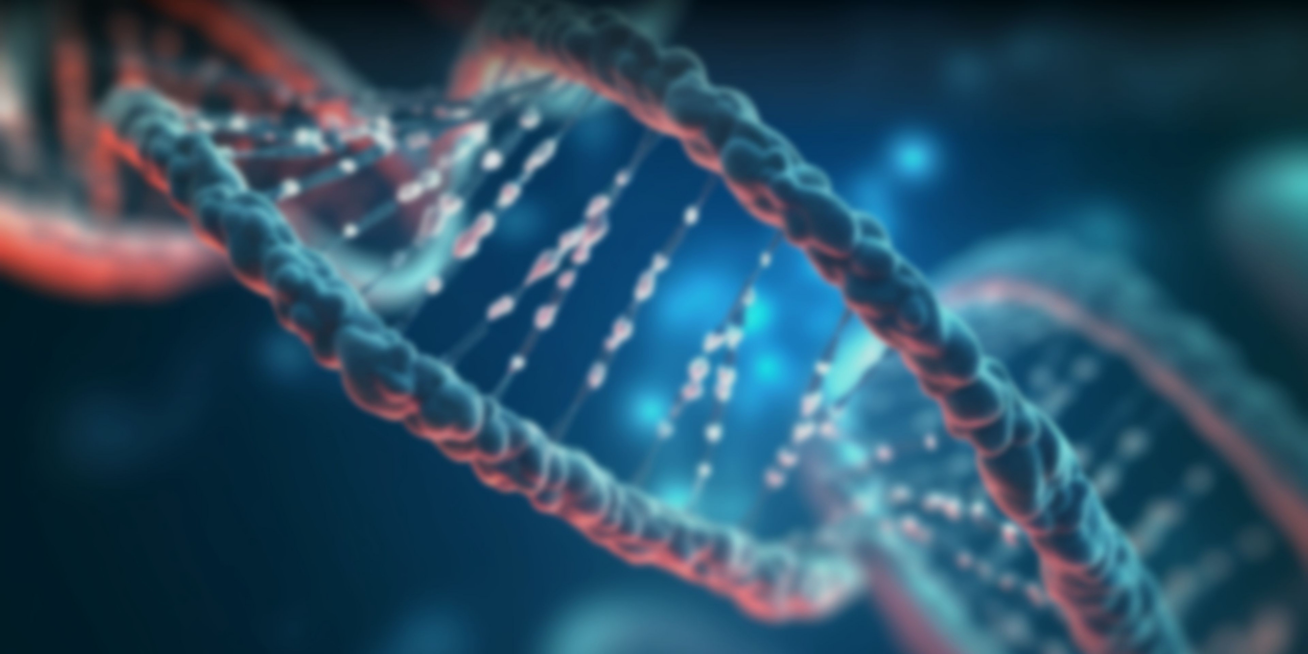 以临床前药理药效评价服务为核心