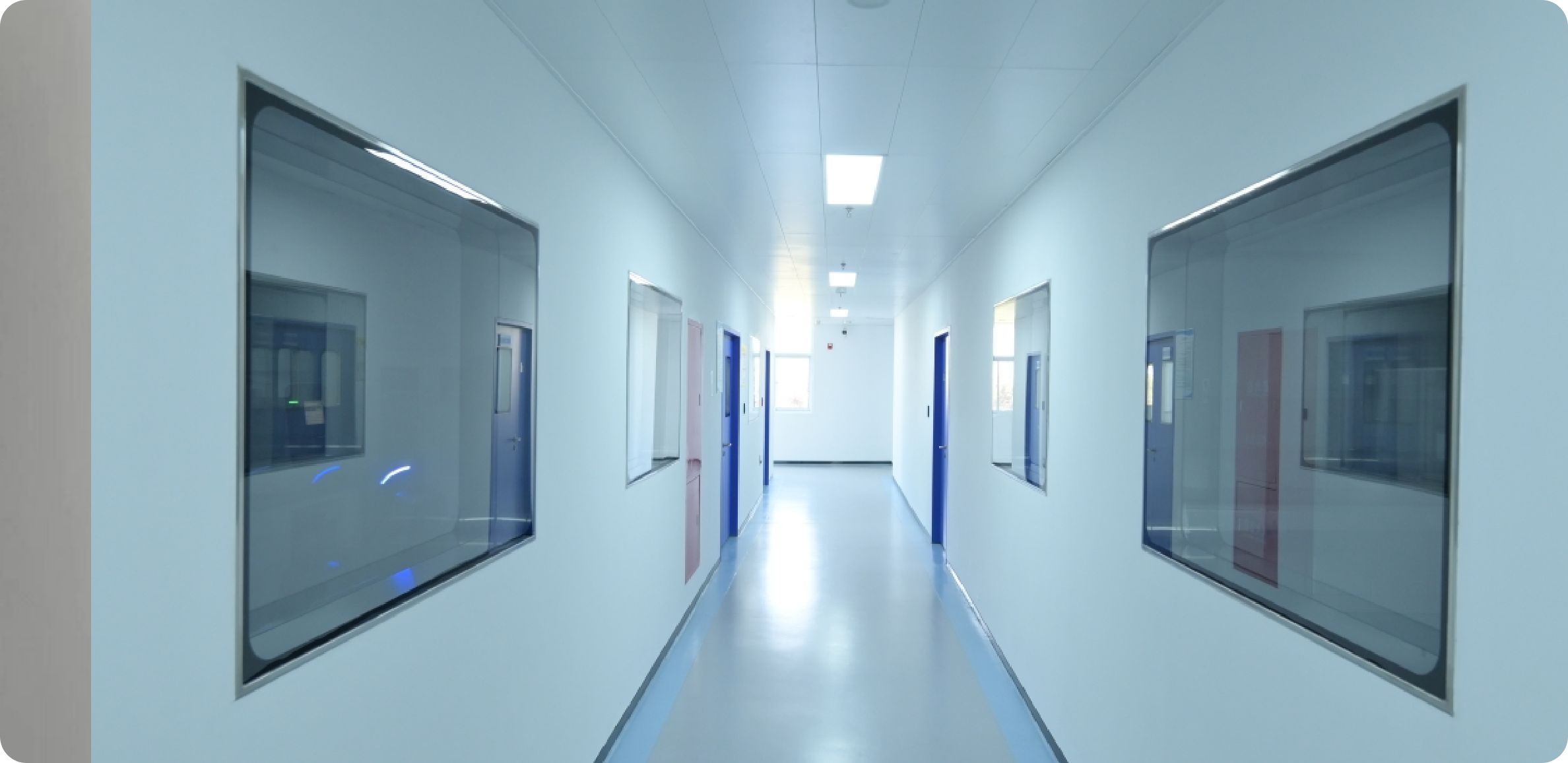 Non-GLP Safety Assessment